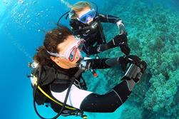 Lanzarote Dive Centre - Canary Islands.